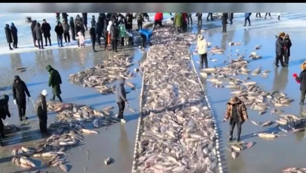 松原的家园,松原是一座美丽之城