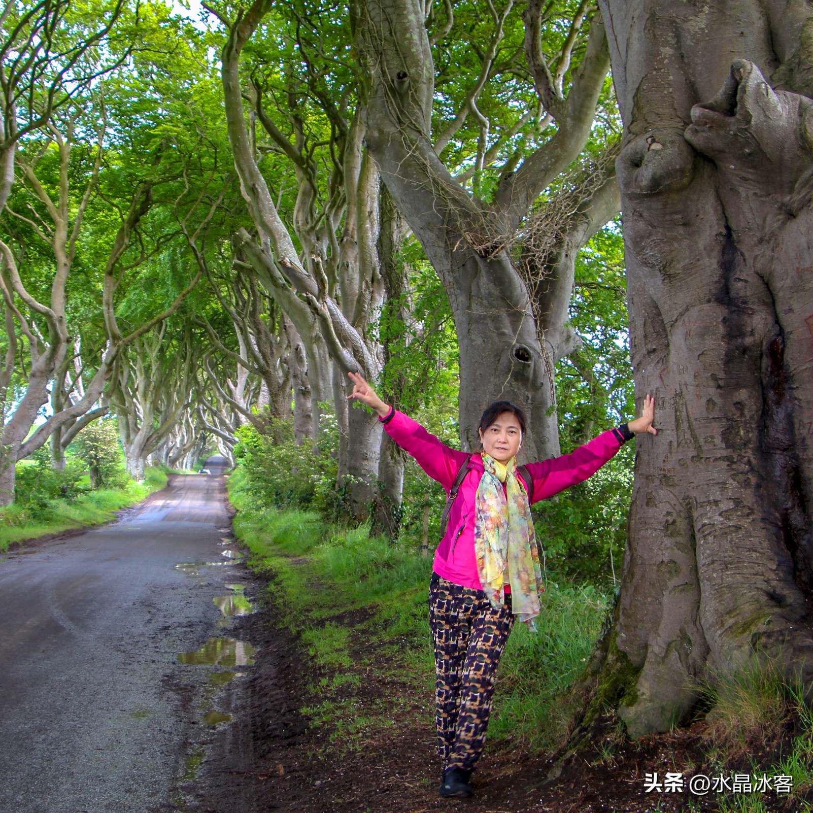 英国行（二）--苏格兰北爱尔兰和爱尔兰