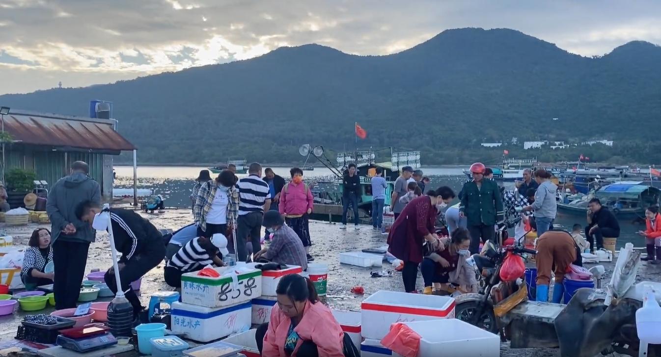 三亚大鲍鱼批发市场,三亚去哪里买海鲜最便宜