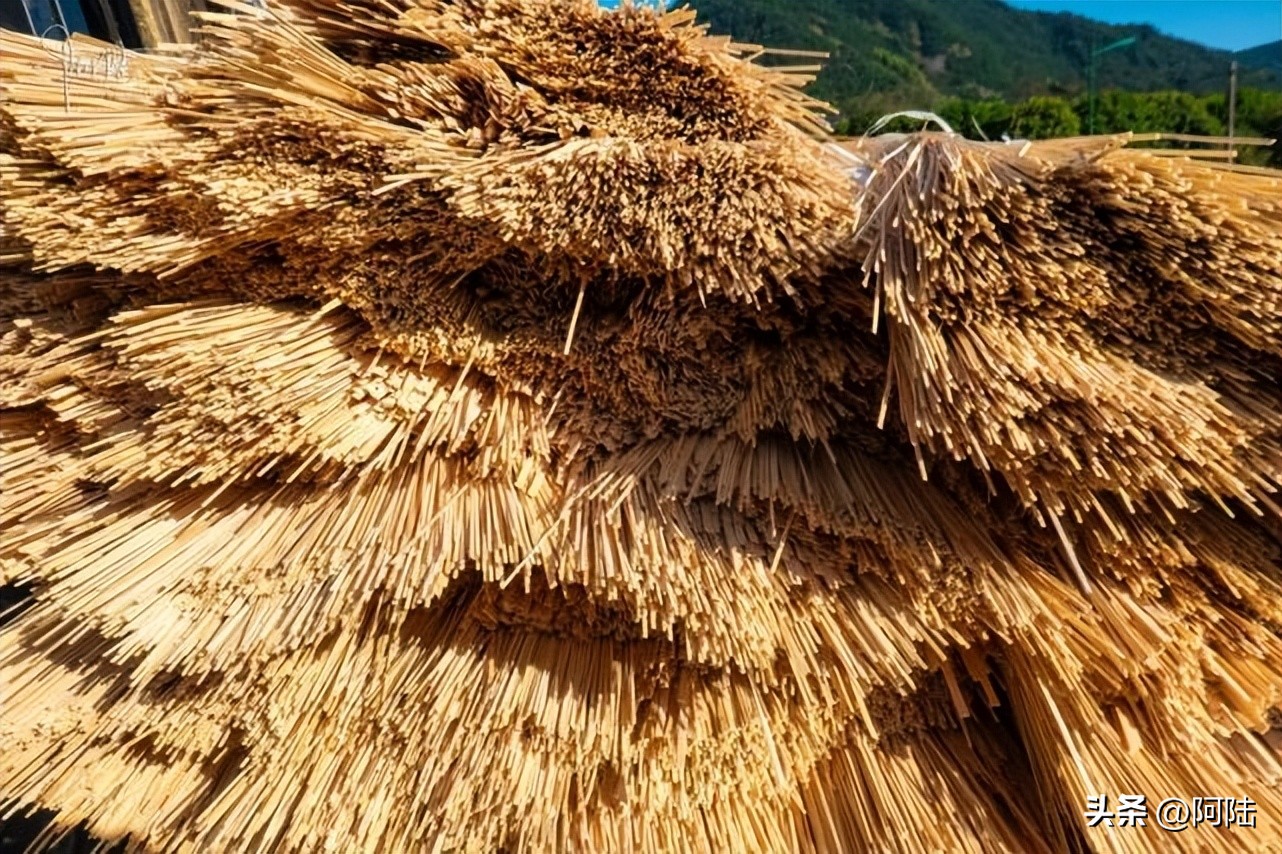 无意间路过太公堂村,邂逅了余杭“竹”功夫,人文风景挺不错