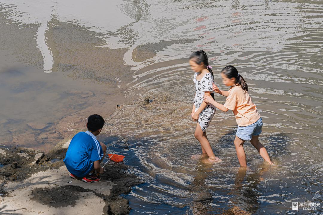 一个广东中产妈妈，决定把iPad还给喜欢游戏的孩子