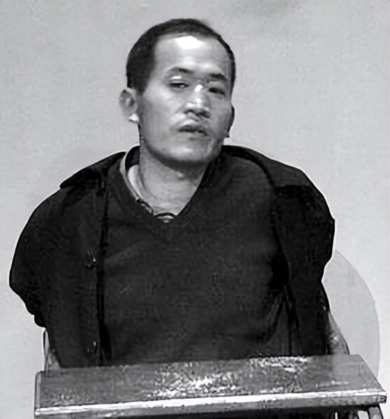 中国十大悍匪电影解说,中国十大悍匪电视剧全集