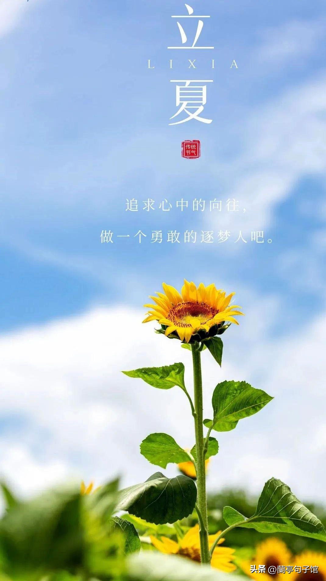 科普知识二十四节气之立夏,二十四节气立夏祝福寄语pdf