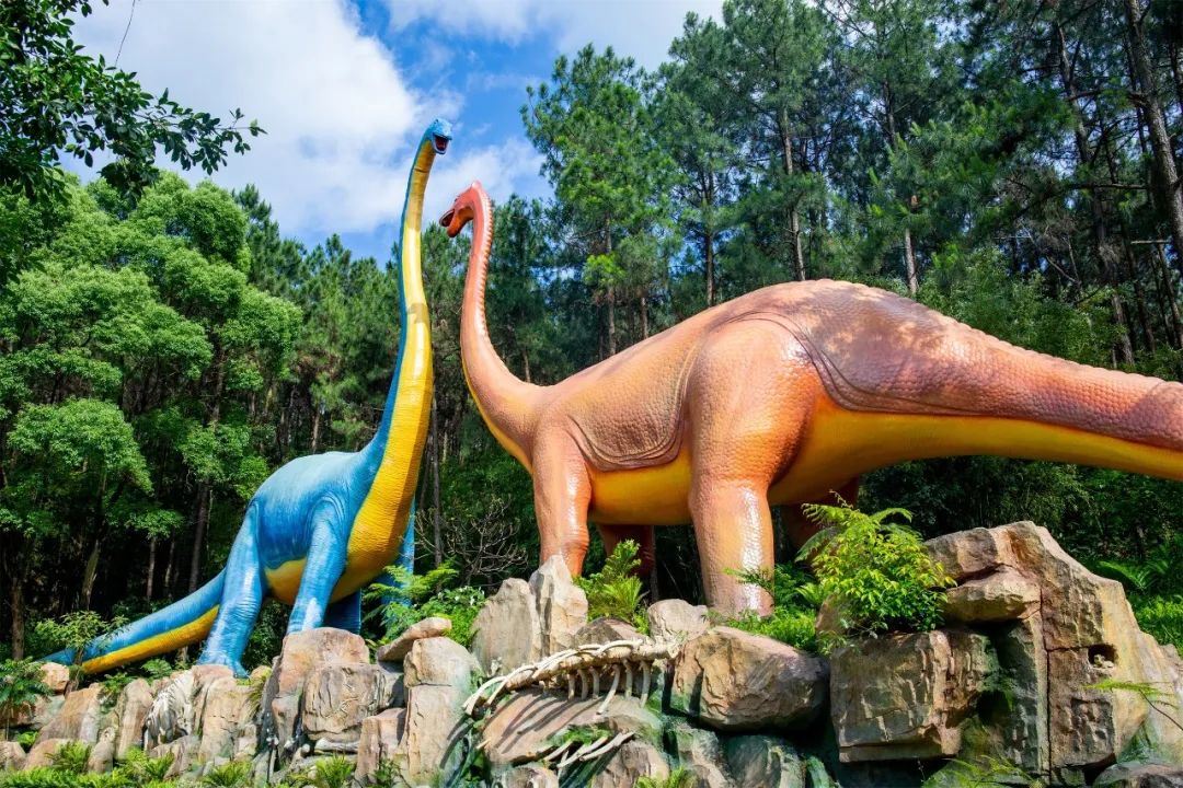 清远佛冈森波拉温泉度假酒店,佛冈森波拉冰川水谷门票