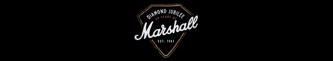 marshall35周年,庆祝建党100周年凝心聚力谱新篇