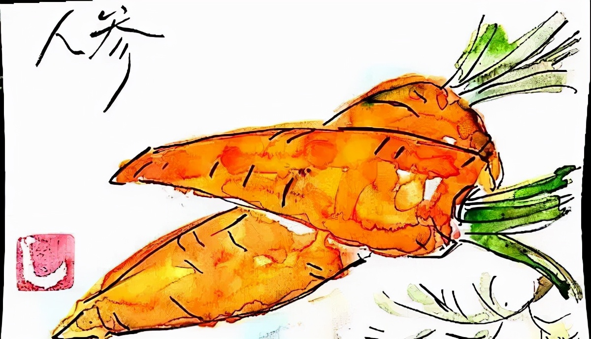 日本人在冬至会吃什么蔬菜,日本人冬至都吃什么