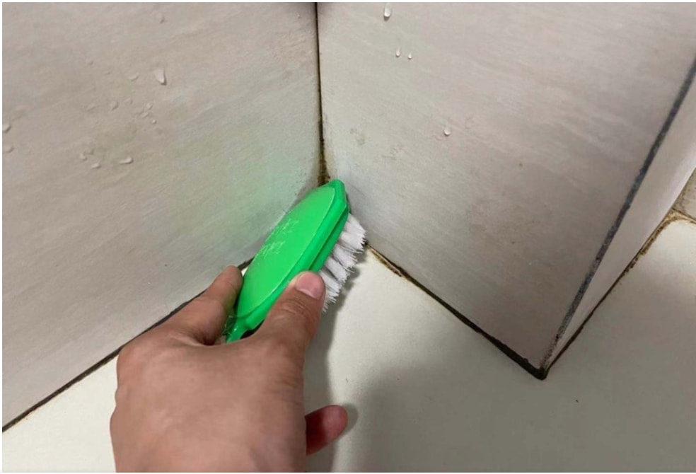 卫生间小飞虫的危害程度超乎你的想象,它究竟是啥?该如何消灭?