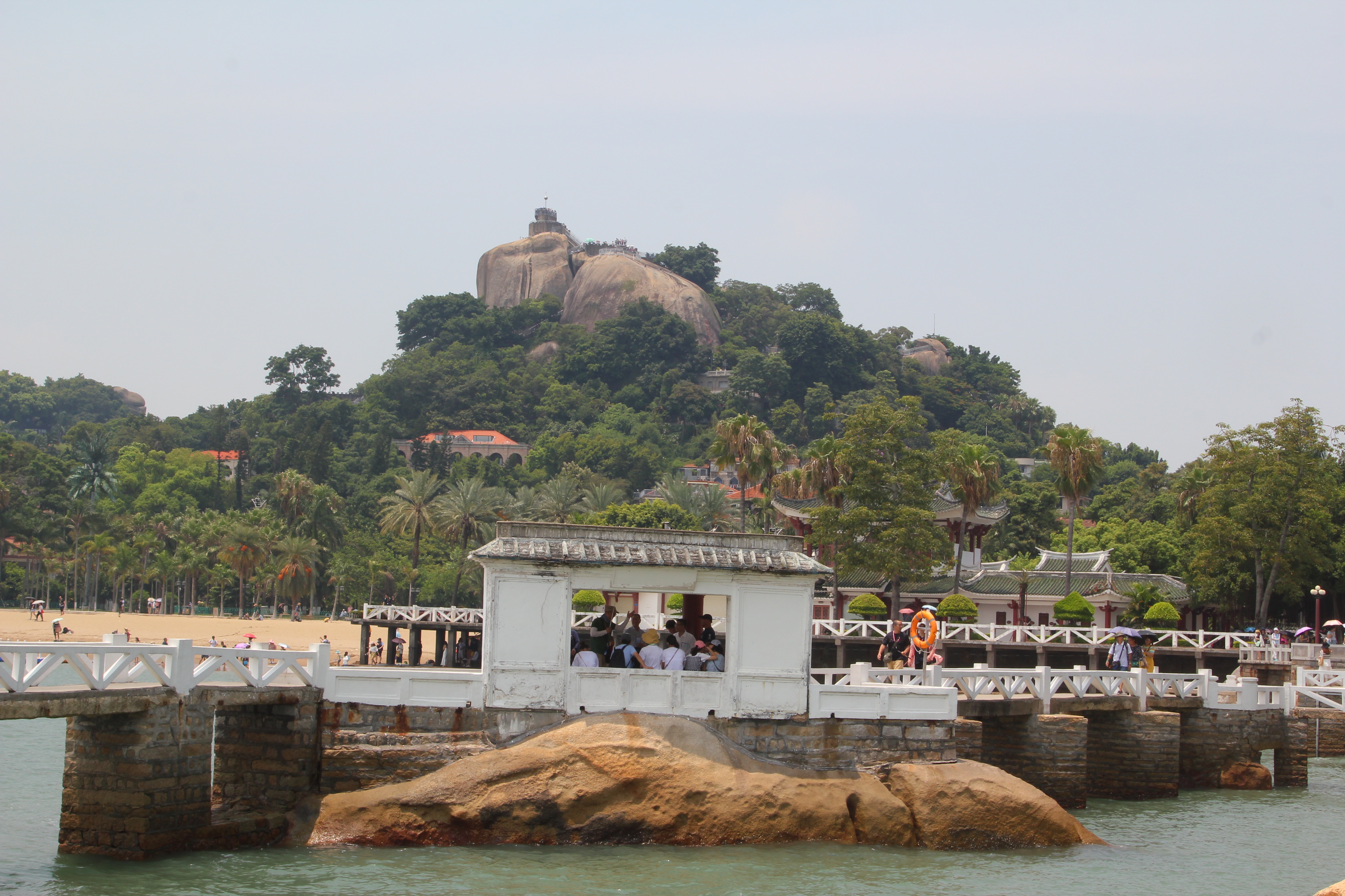 厦门一座来了就不想走的城市,去鼓浪屿不想逛太久