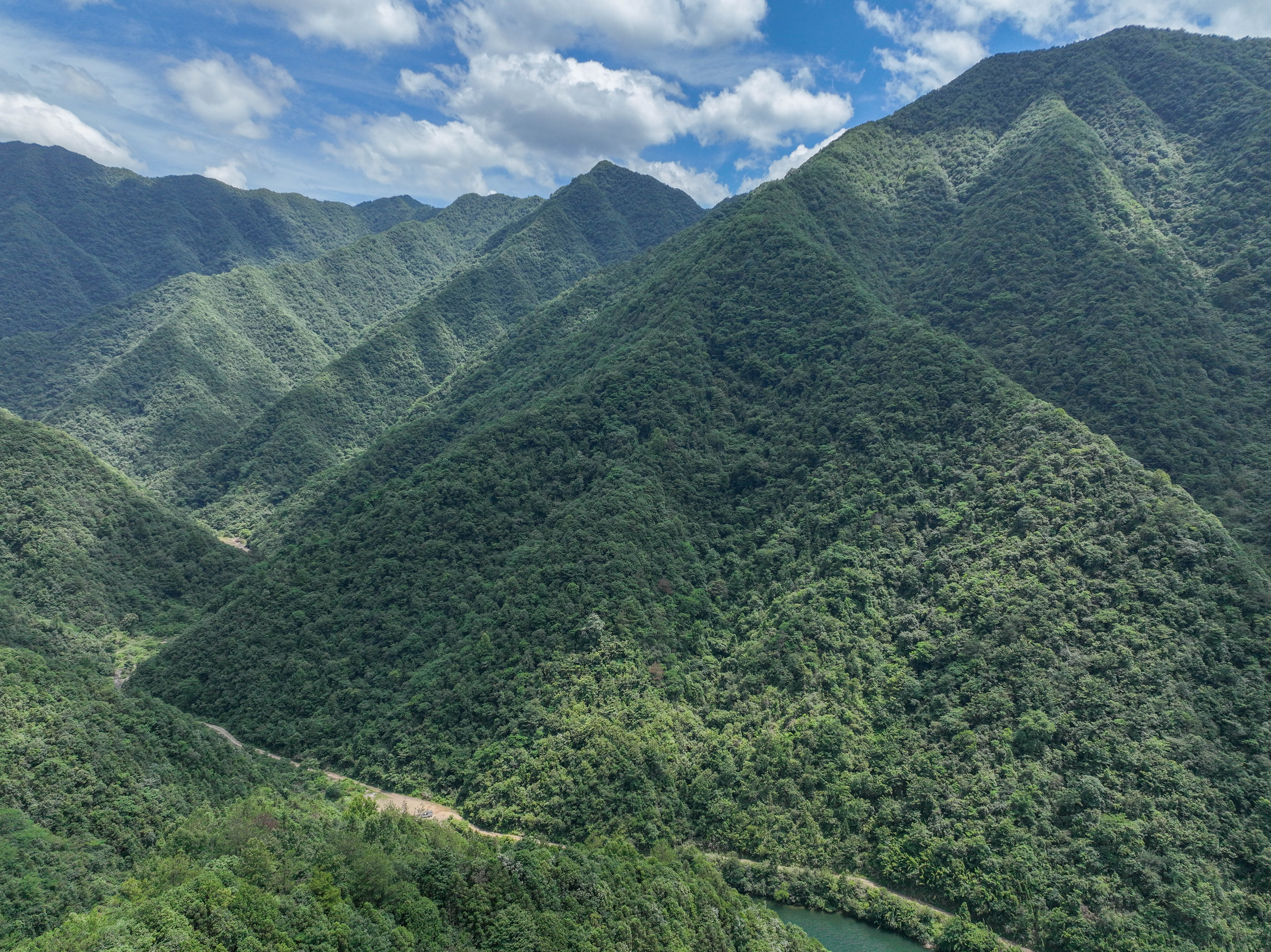 夏天出游拒绝躺平，来杭州这个地方过舒爽凉夏，冲鸭！