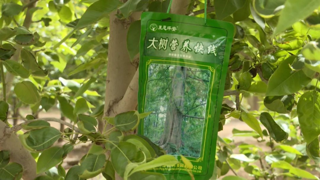 三抓三促工作行动方案,三抓三促行动开展情况通报