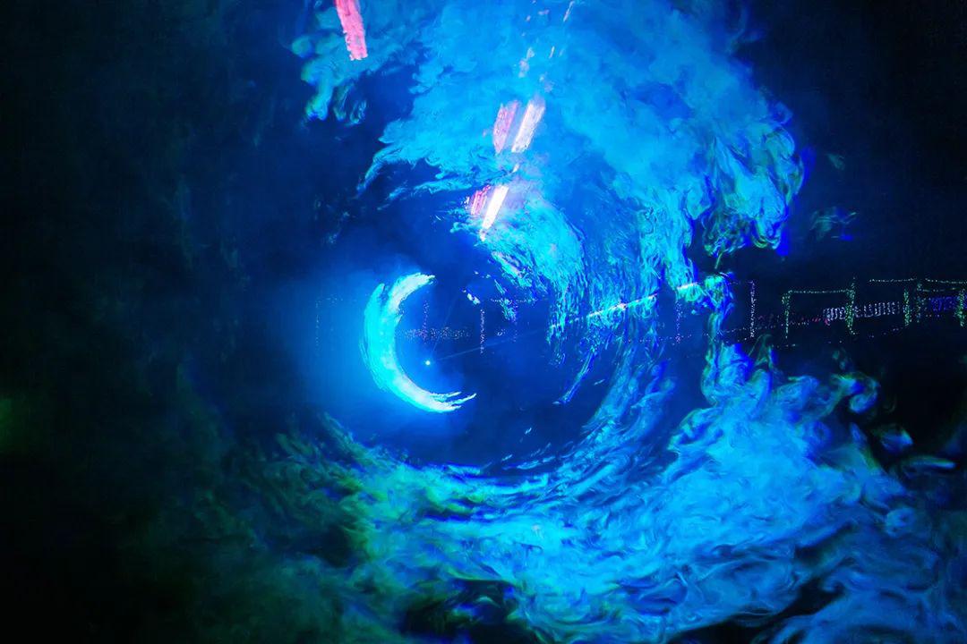 农庄网红项目大全,10万农庄创意网红项目