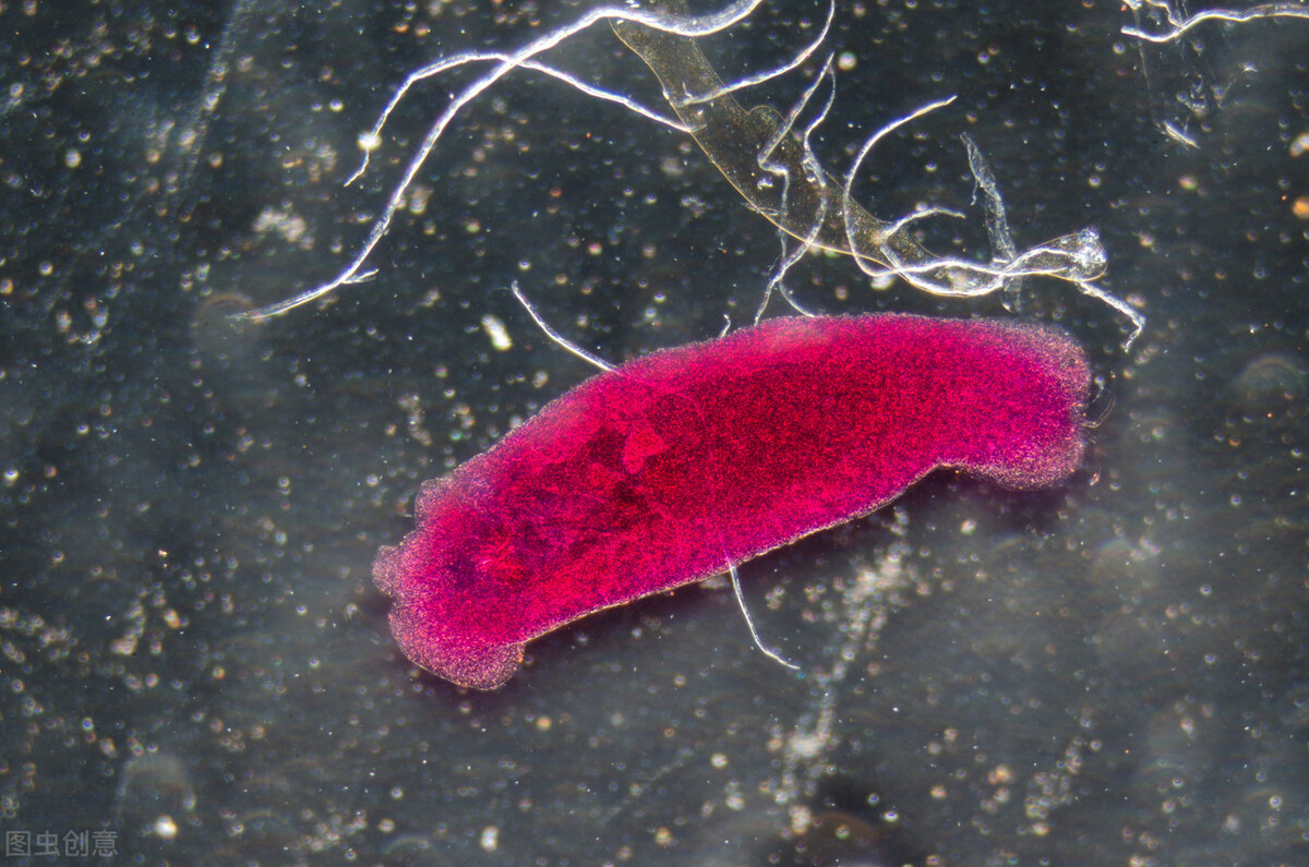 专科就业前景最好的创业十大专业,大专学生创业应该走哪些方向