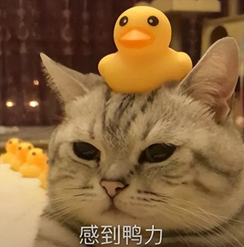 吃软的还是硬的？电子信息类20个专业就业，报前必看