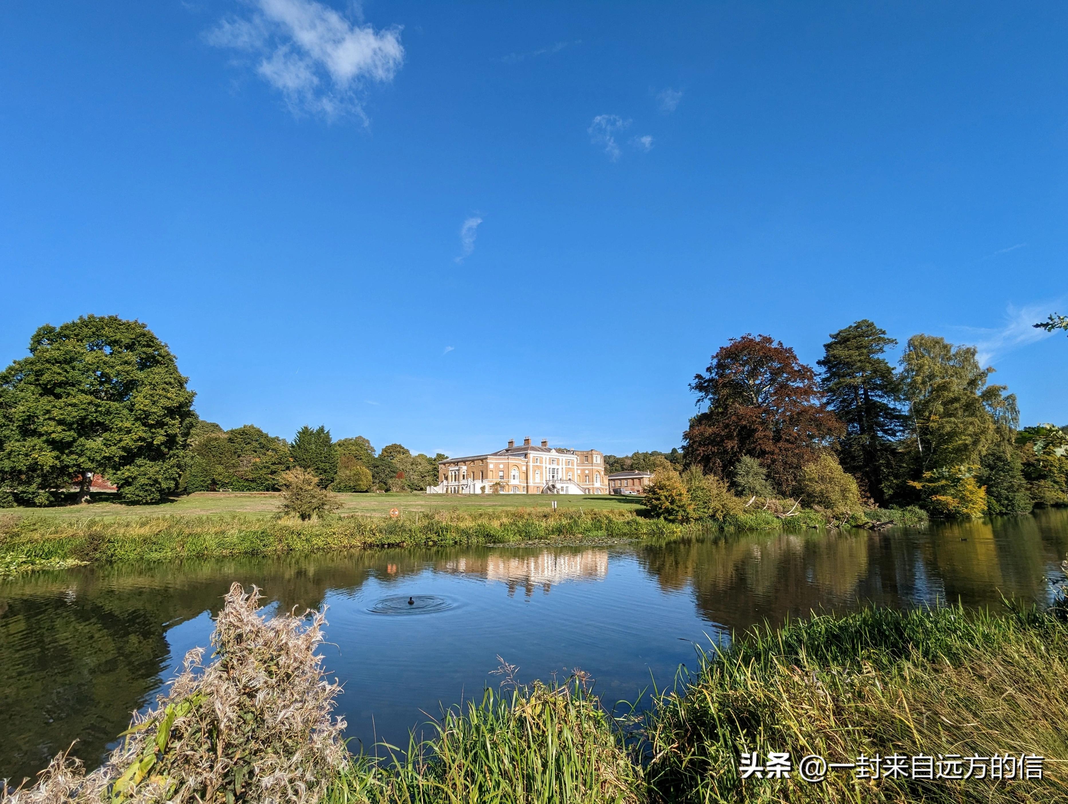 谷歌pixel7a对比三星s23,谷歌pixel7pro