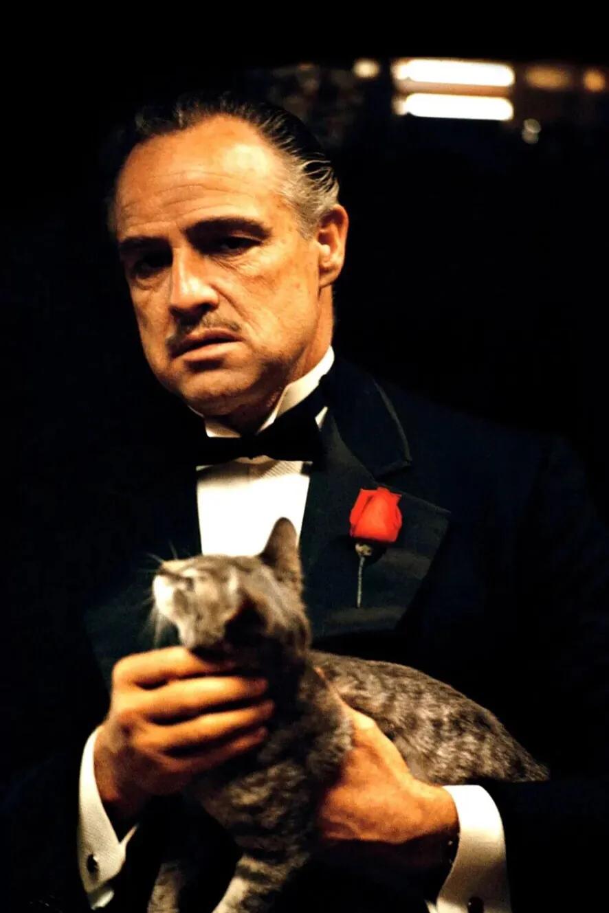 有哪些文艺到爆炸的影视剧台词,电影里经典文艺的句子有哪些