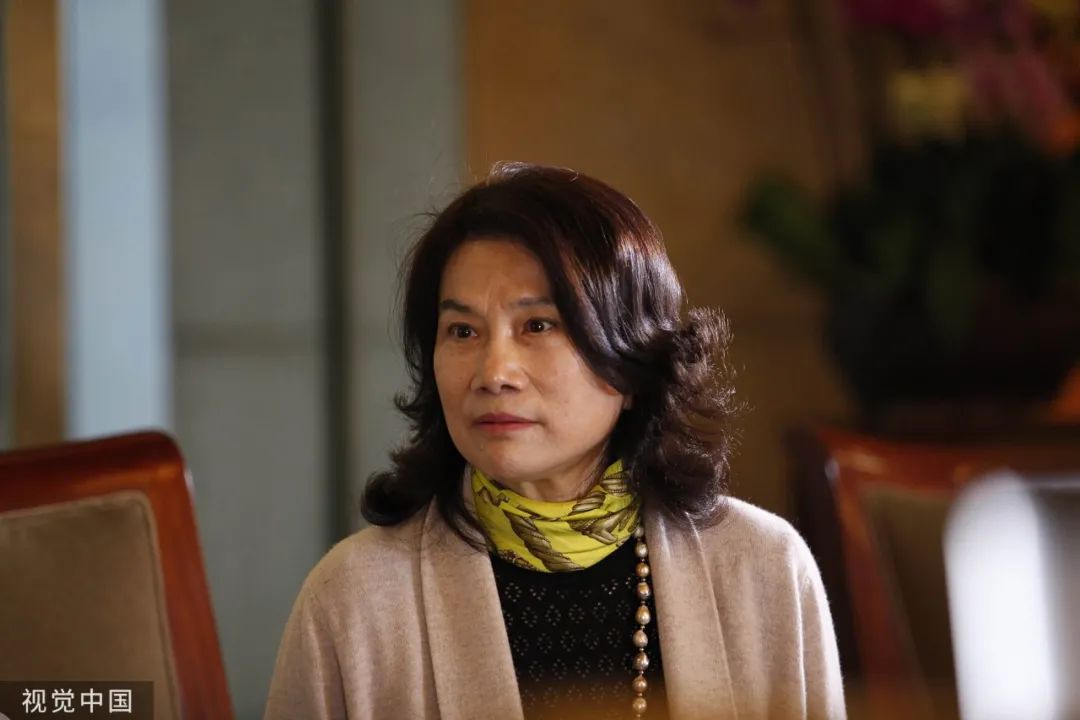 董明珠手机梦还能继续吗,董明珠干的是什么行业