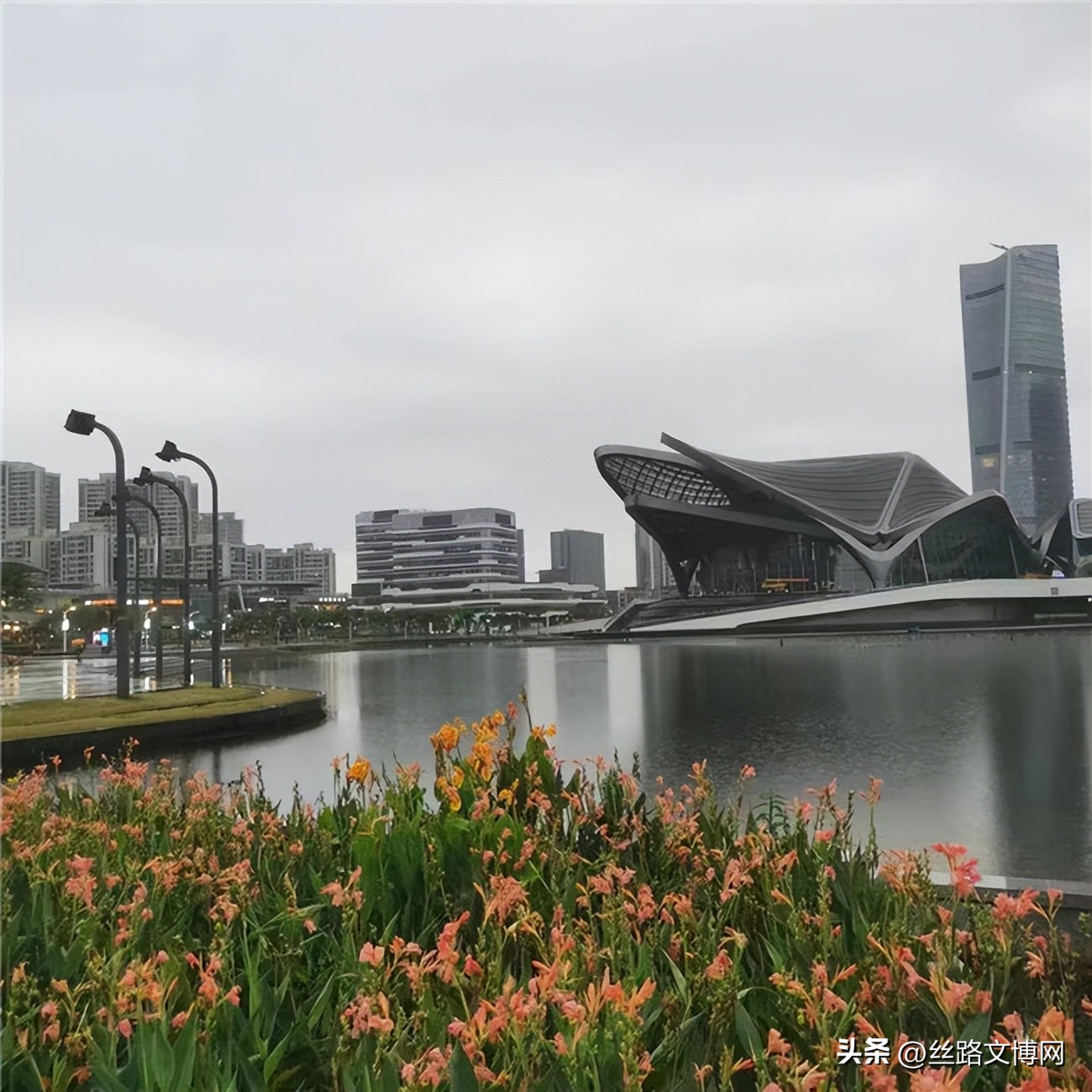 黄河名家‖诗咏魅力珠海