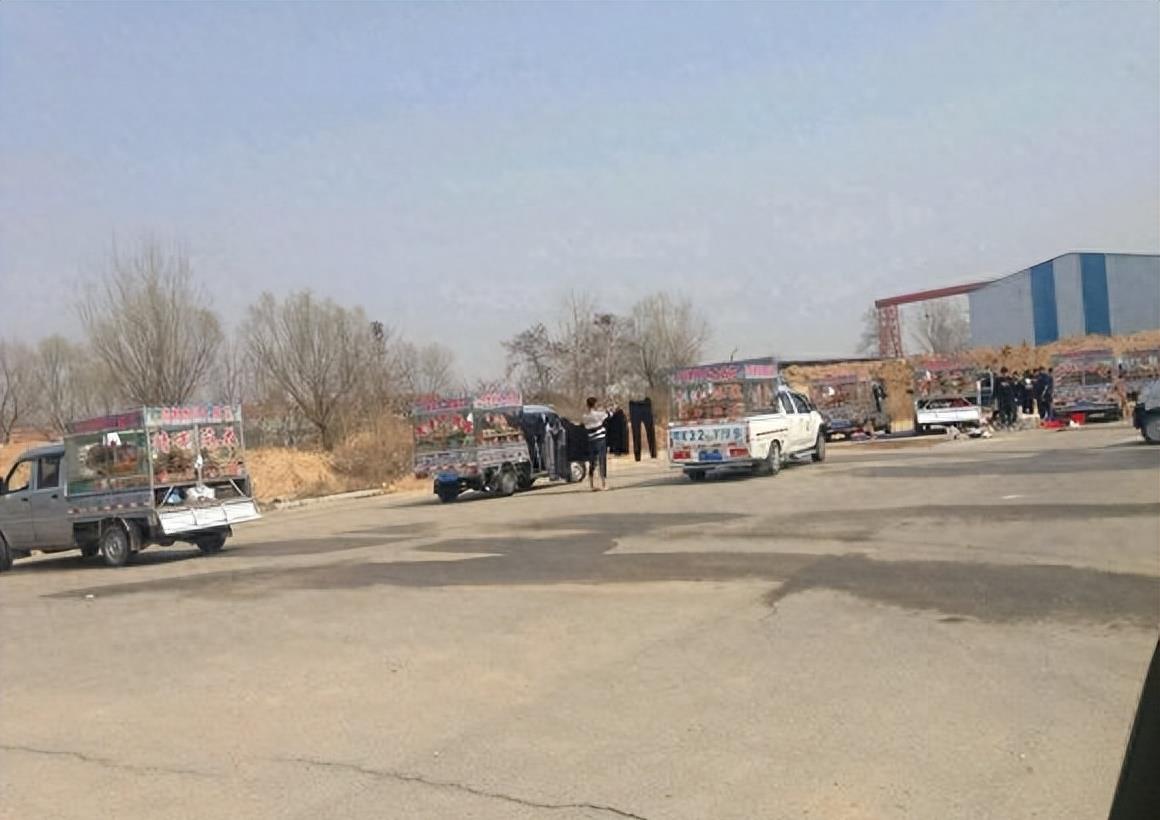 神秘组织天津大麻花的秘密,神秘势力天津大麻花