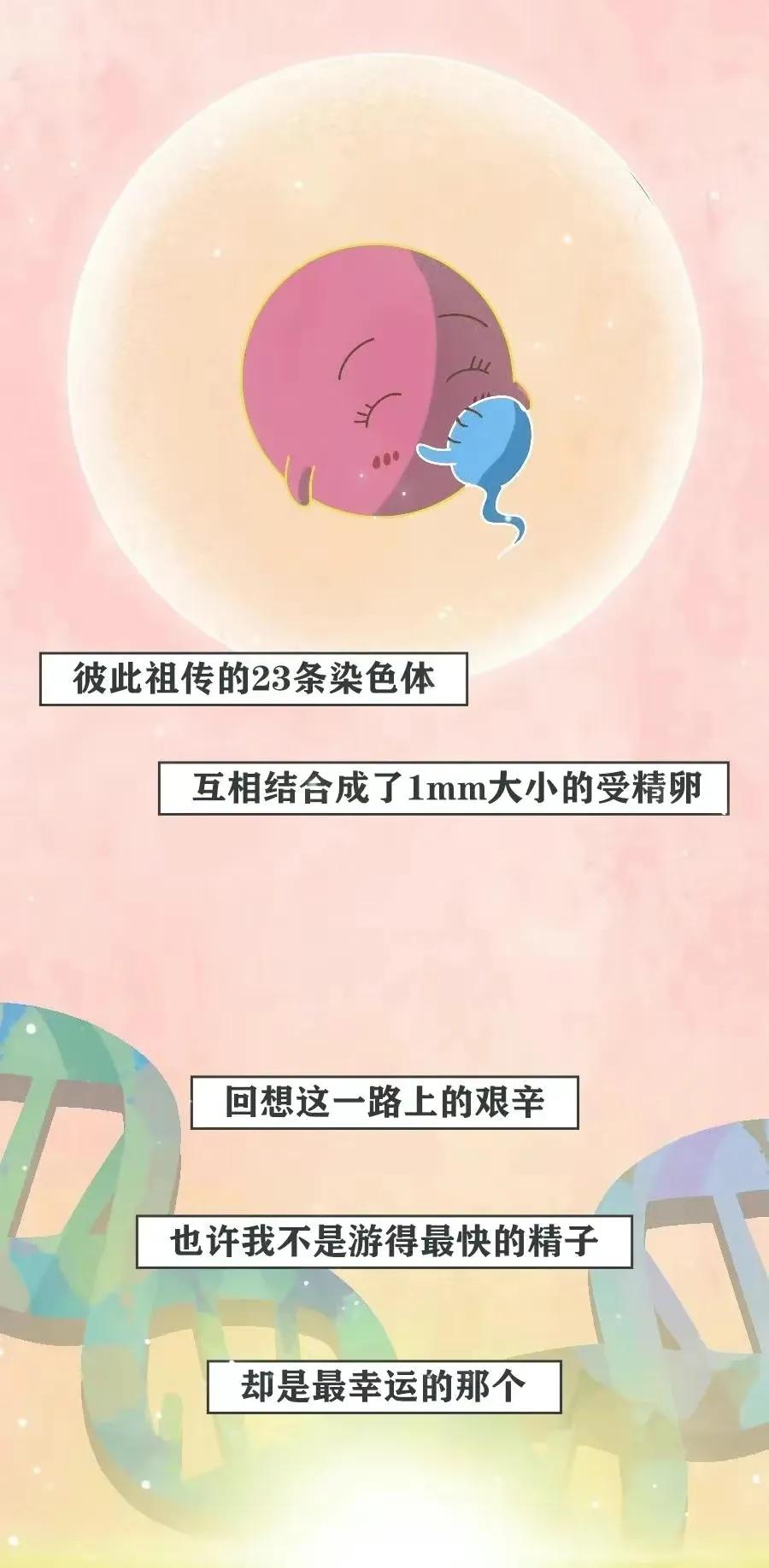 精子是怎么进入对方体内的，真是历经九九八十一难！