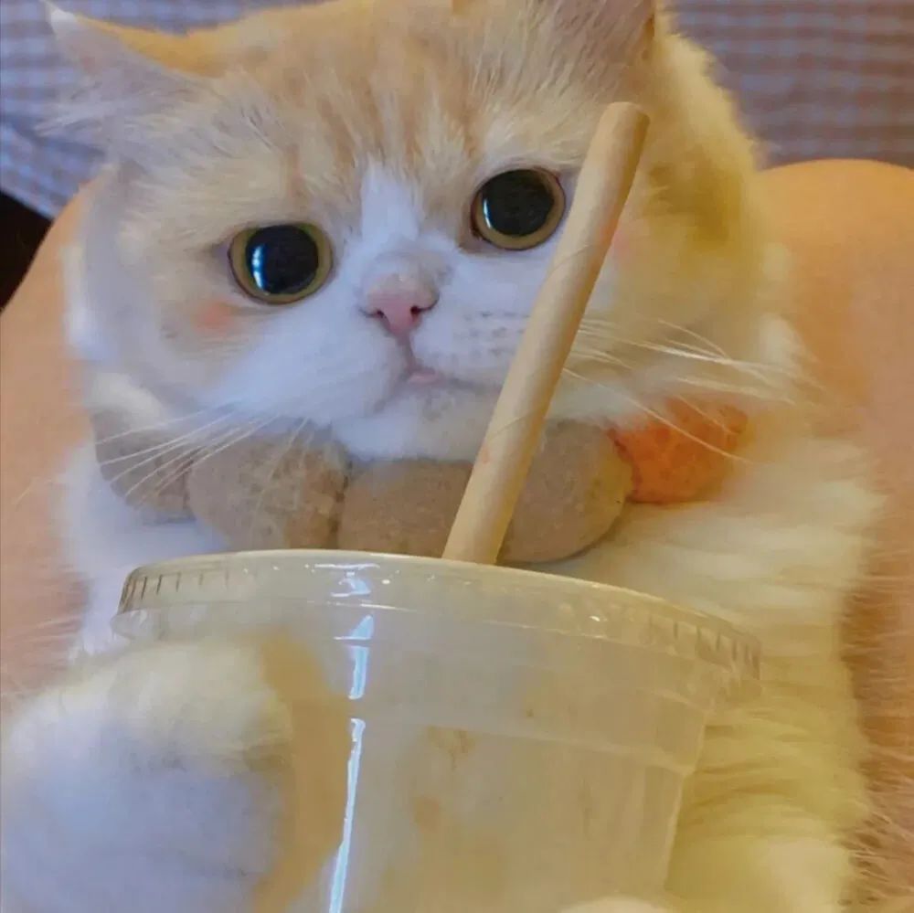 抖音男生动漫头像,抖音超仙头像动漫