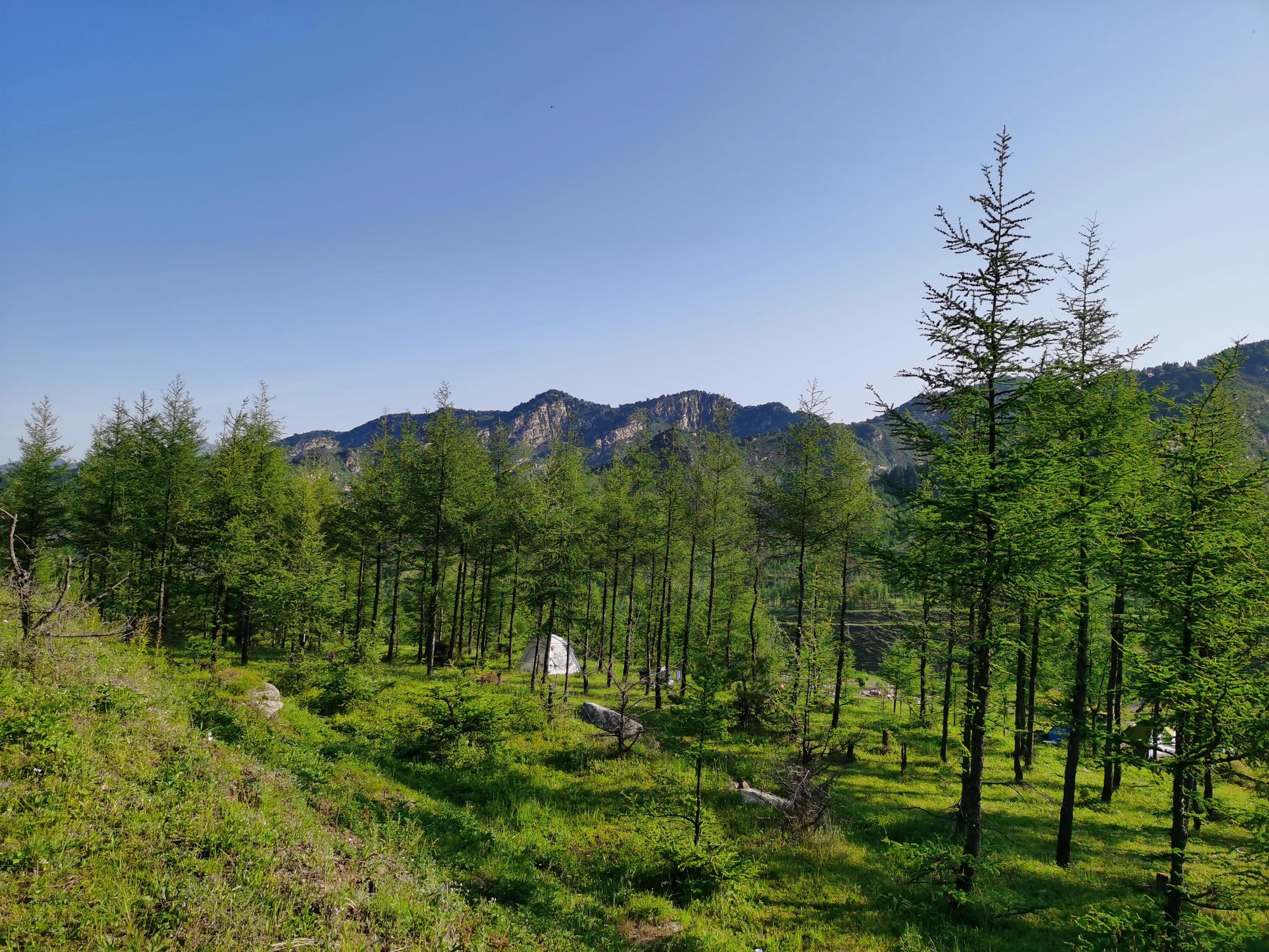 璺戞硥鍘傚埌椹兼灞遍鏅尯,椹兼灞辫窇娉夊巶