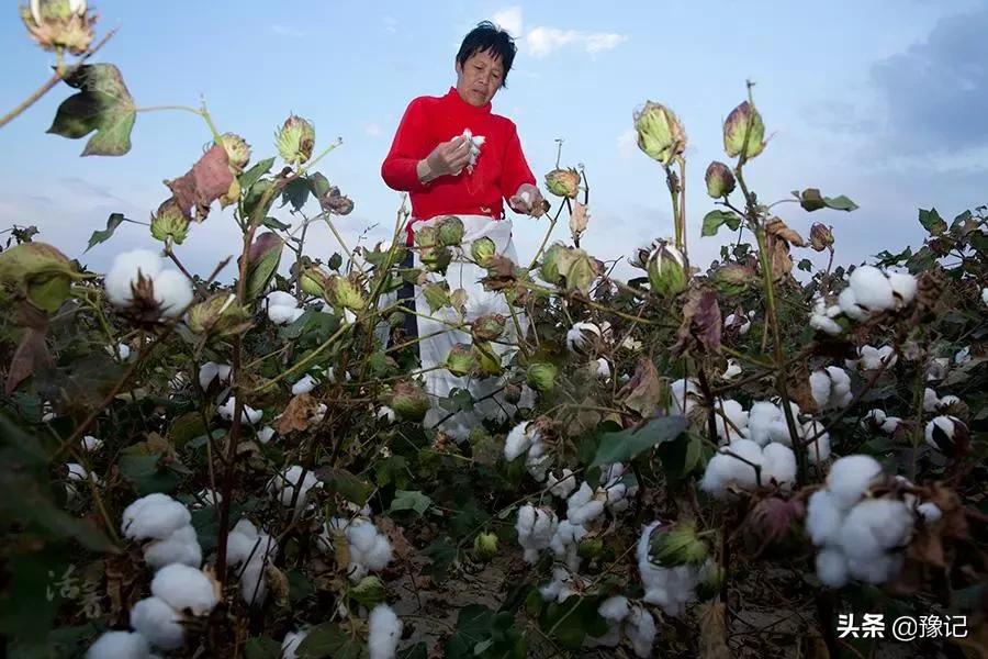 最辛苦的人们,最辛苦的人有哪些