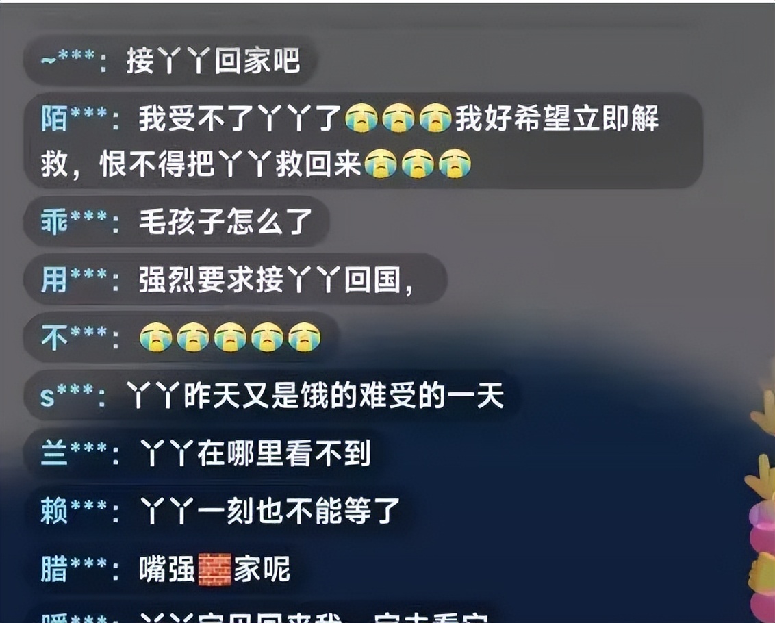 多少人关注丫丫,现在有多少人在关注丫丫