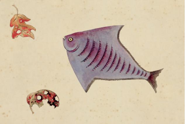 无穷小亮的科普日常海洋生物,无穷小亮的科普日常美丽的海洋25