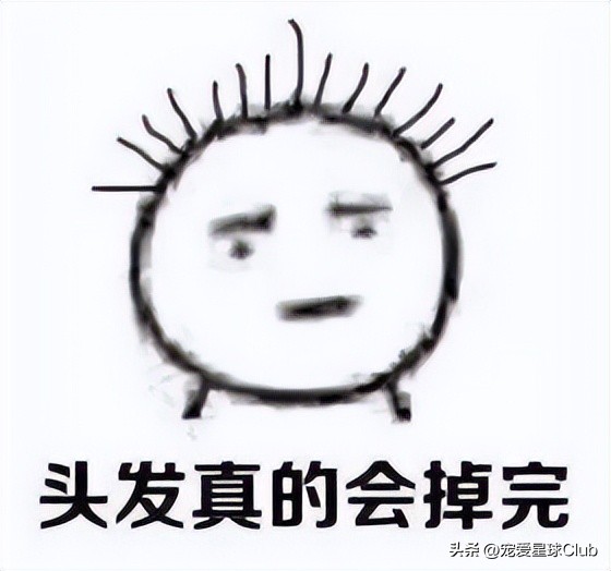 狗狗掉毛都快秃了还痒,狗狗尾巴毛掉秃了怎么回事