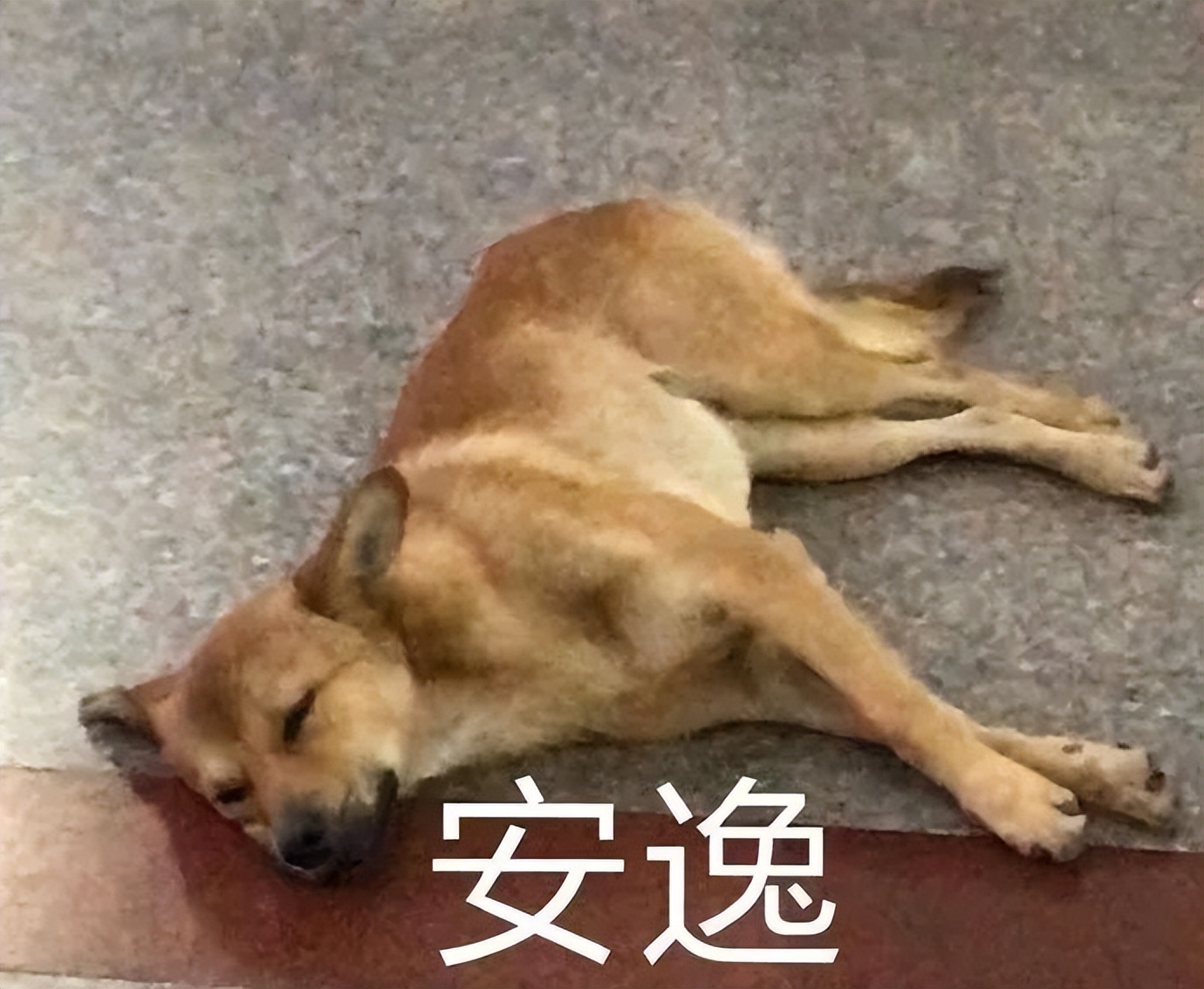 夏天油皮冬天干皮怎么选粉底液,柳丝木粉底液适合干皮还是油皮