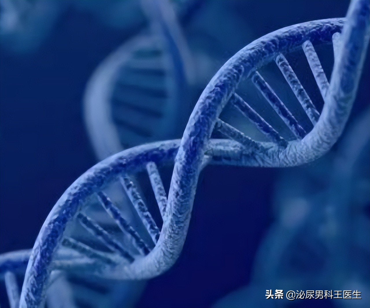 前列腺癌发现就是晚期？叶定伟教授：50岁以上最好每年检查一次