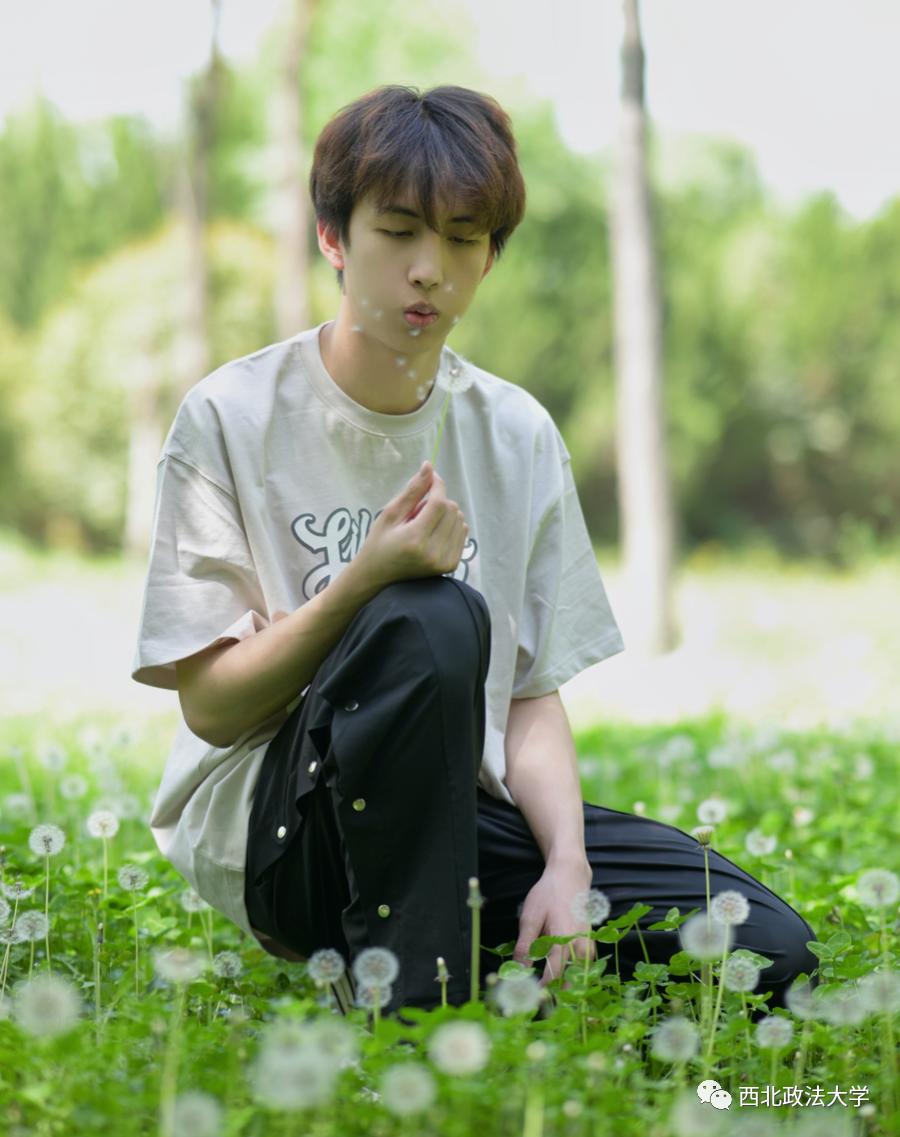 西法大到底是什么,西法大是什么意思网络用语