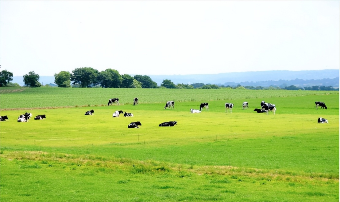 优博瑞慕奶粉好还是飞鹤星飞帆好,新生儿选优博瑞慕还是飞鹤星飞帆