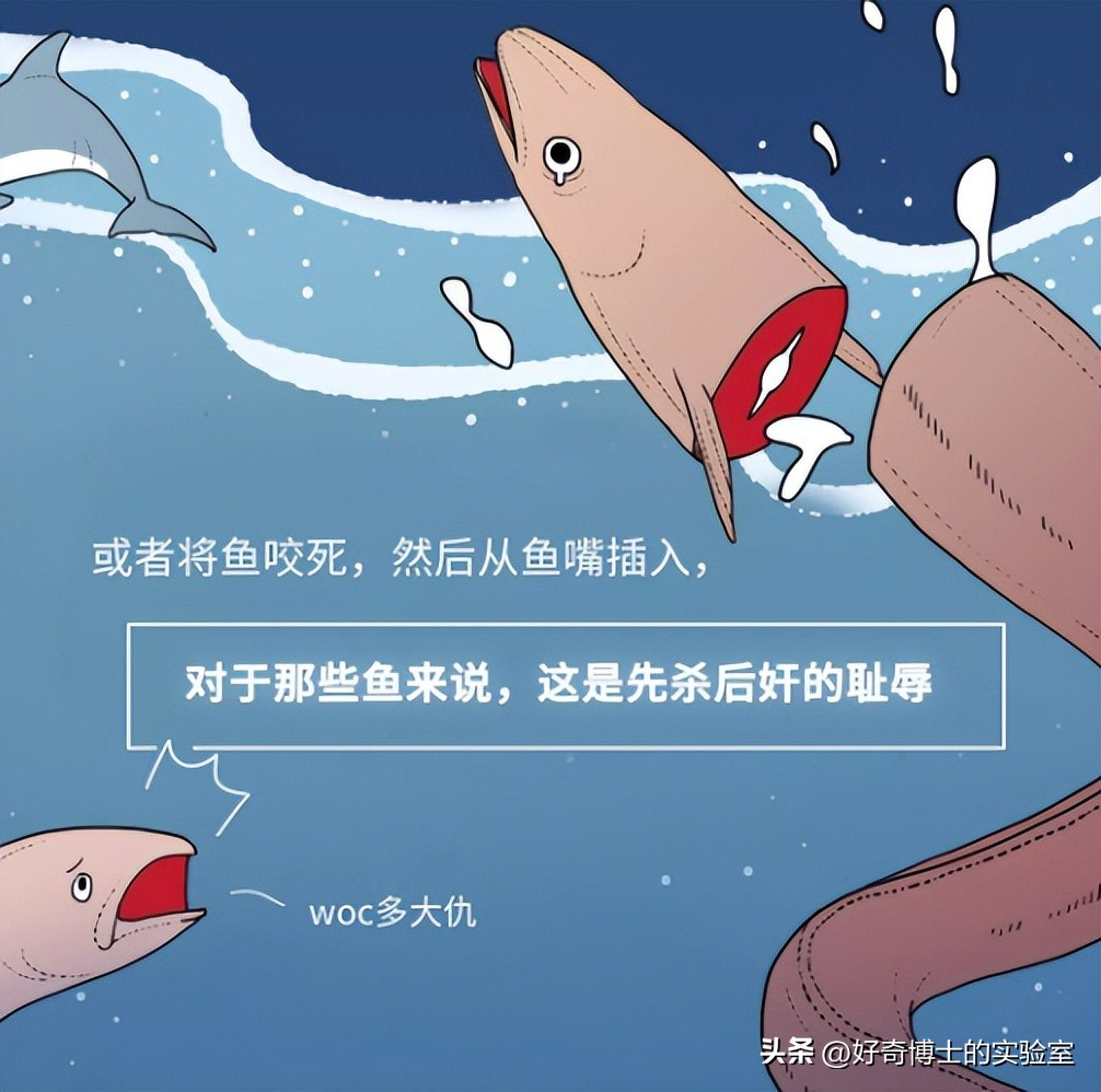 动物是怎么飞起来的,动物怎样飞行时感觉方向