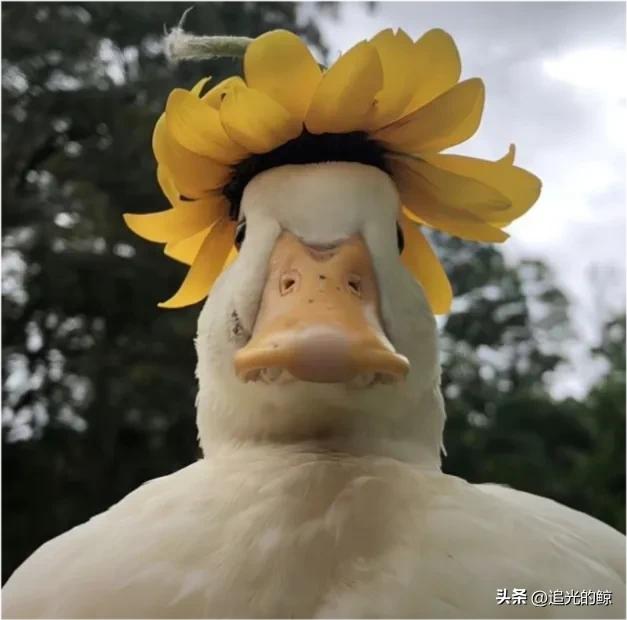 陪你看海的人比海更温柔,陪你看海的人比海温柔出处