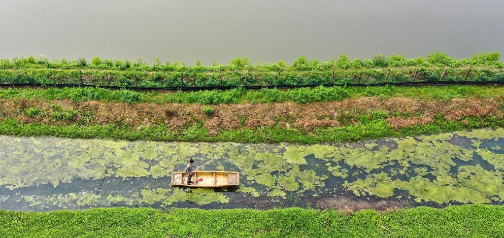 农业生态补偿意义,生态补偿促进农业产业化