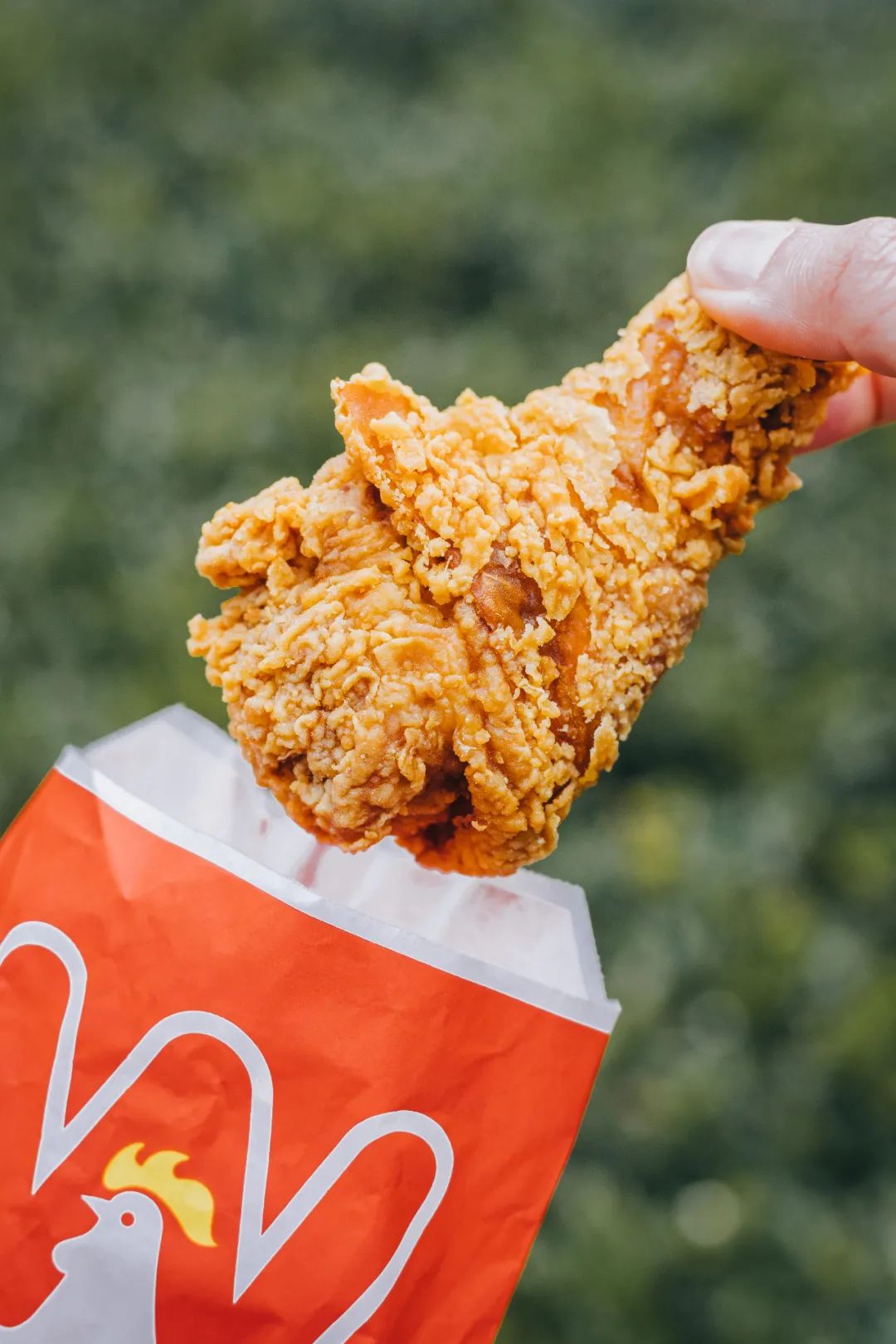 华莱士汉堡炸鸡薯条可乐鸡翅,华莱士为什么只有炸鸡汉堡