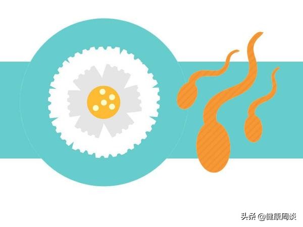 女性受孕后，身体会有哪些变化？妇科医生一次性说清楚，不妨看看