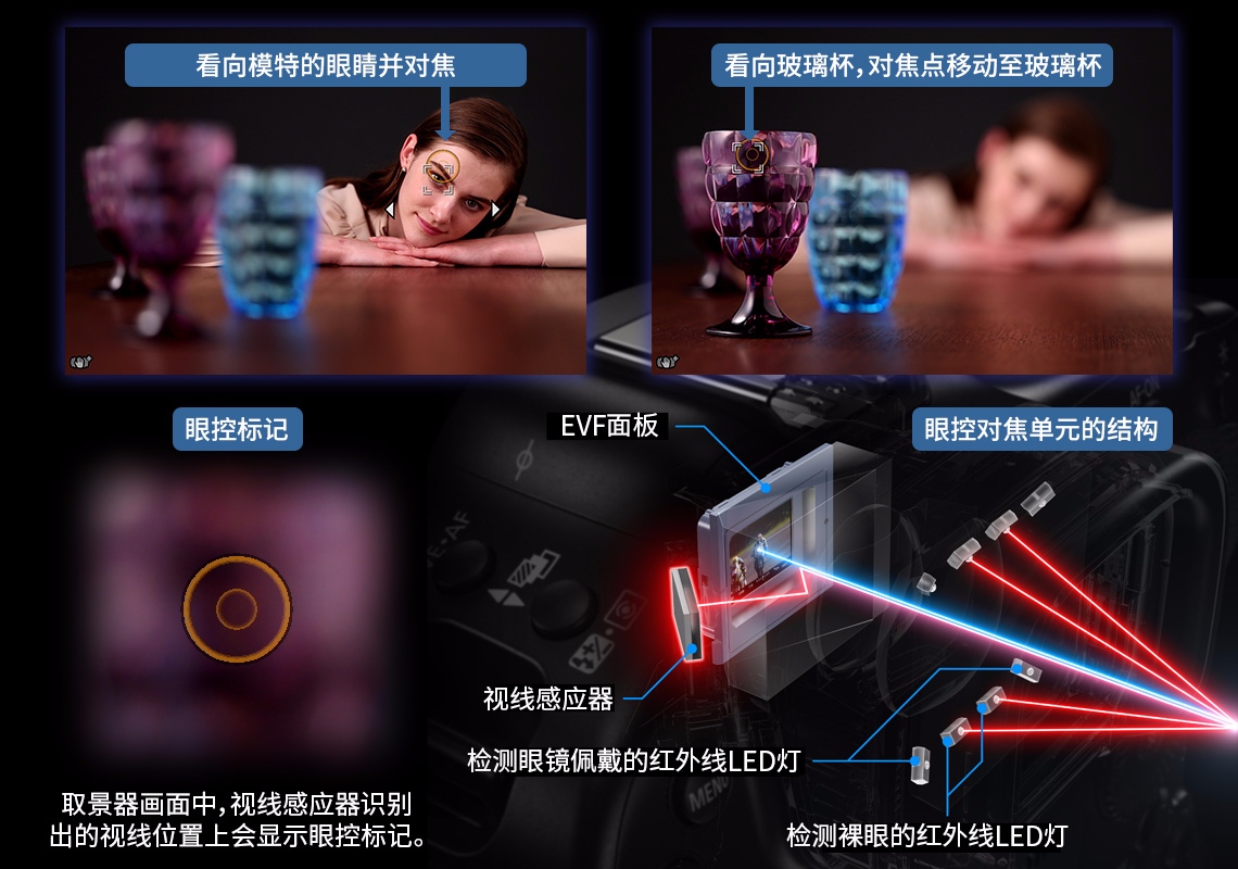 佳能canoneosr3测评,佳能eosr3震撼登场