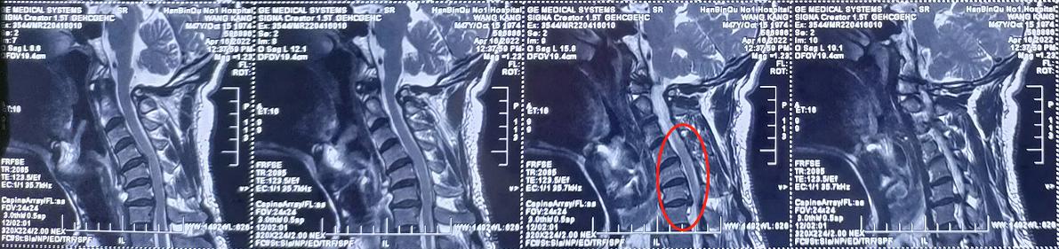 还好我没放弃下一句,还好我没放弃素材