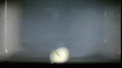 微波炉用几年可以淘汰了,日本人为什么淘汰微波炉