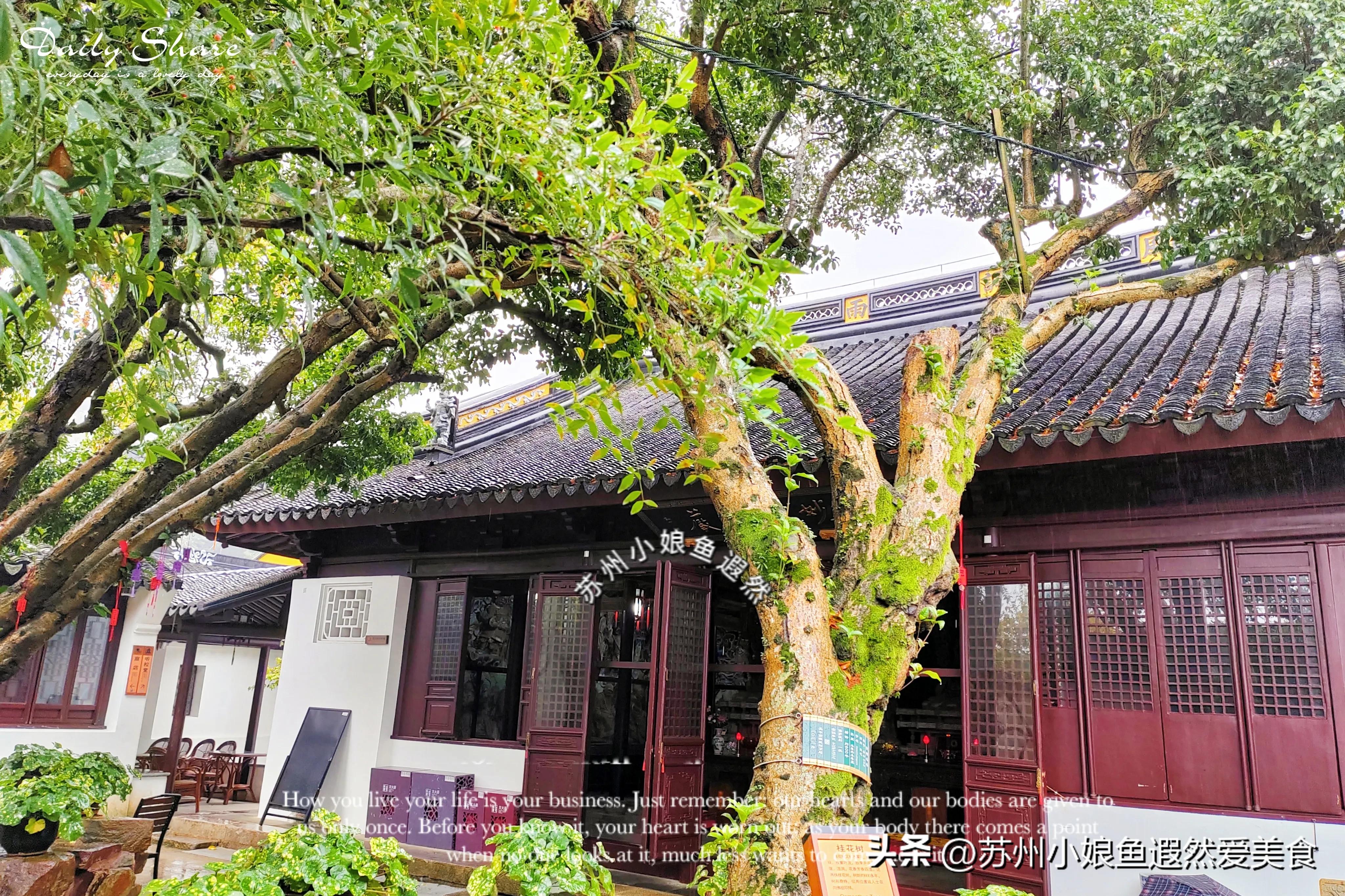 苏州古寨旅游攻略,苏州一日游攻略探索更好玩的景点