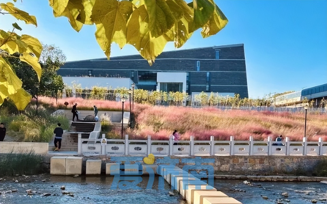 济南遛娃好玩的地方,济南冬天遛娃好去处