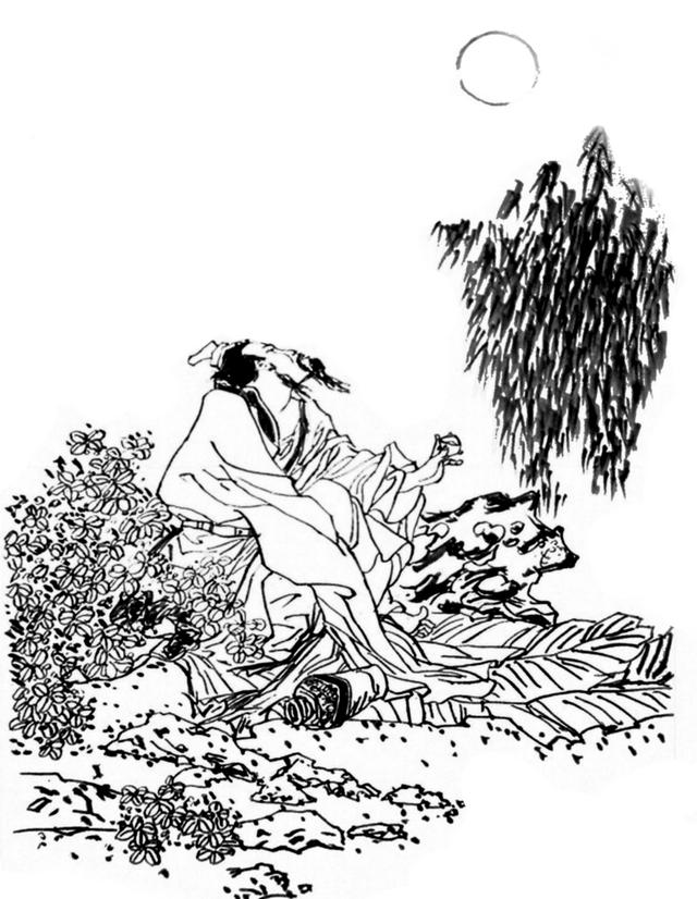 赵善庆诗词,赵善庆诗词朗诵