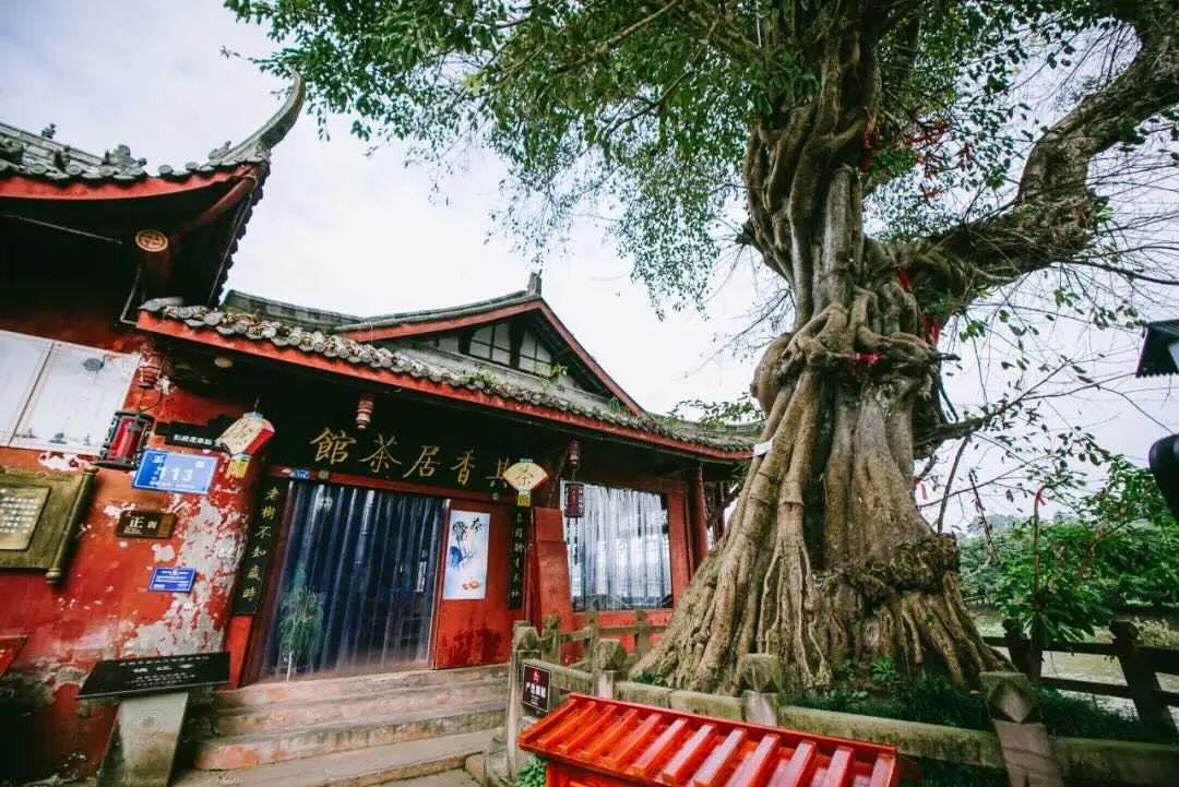 成都市区现实版桃花源记在哪里,成都公交可达的古镇