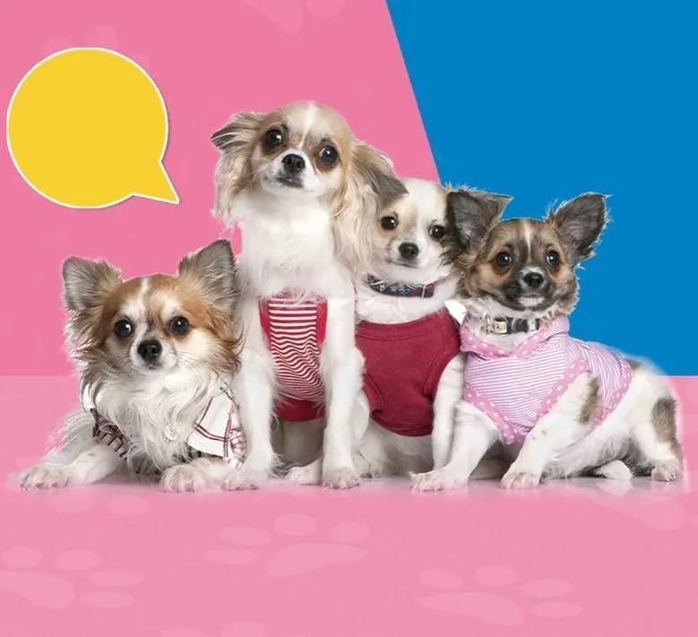 未来哪些行业可以有创业机会,2022年最赚钱的5个创业行业