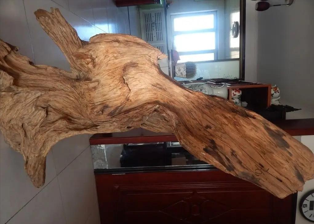 男子烧山被抓种树一万株,福建男子放火获刑11年