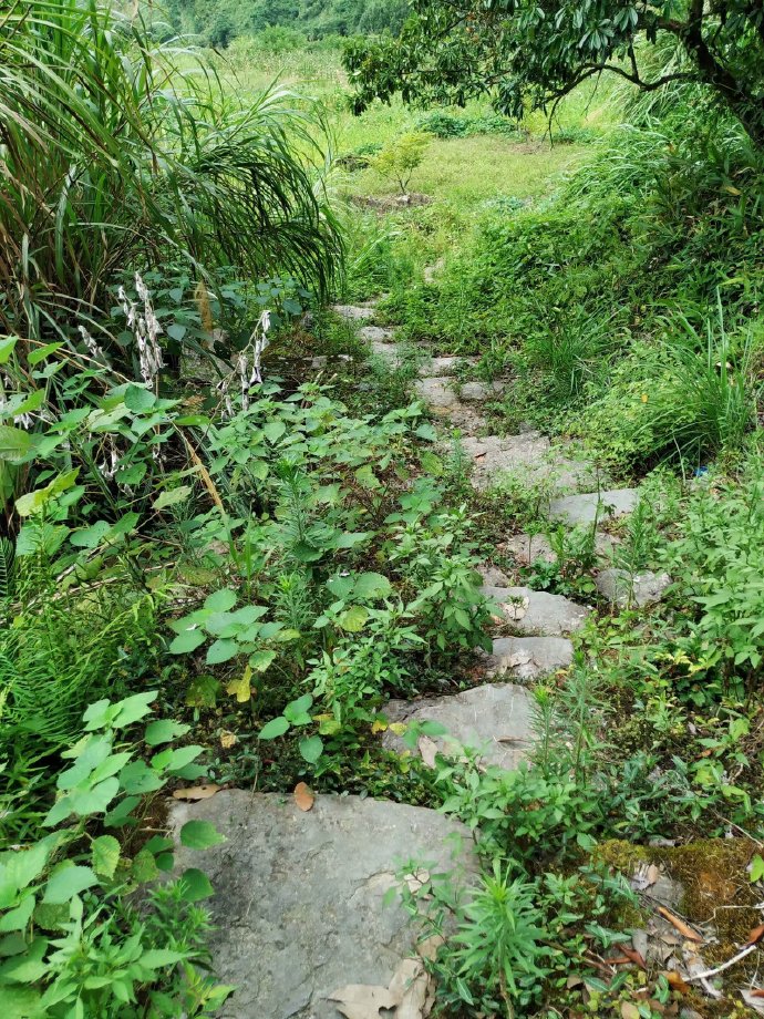 郴乐古道之水头江宜乐古道--广东省乐昌市庆云镇