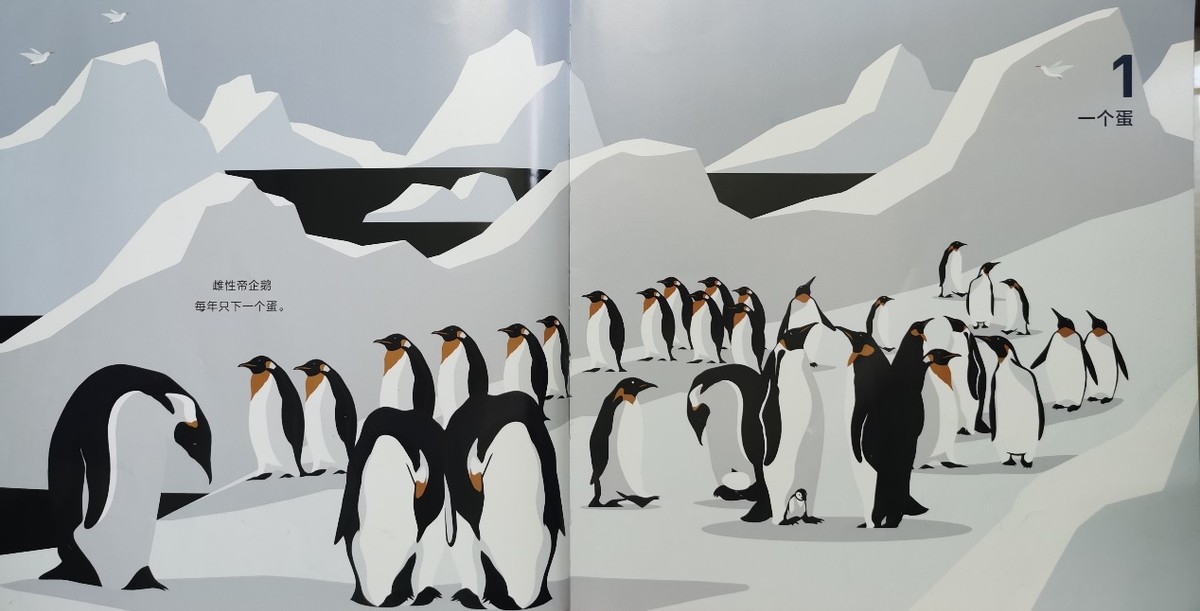 绘本和我一起数星星,儿童绘本推荐3-6岁星星主题