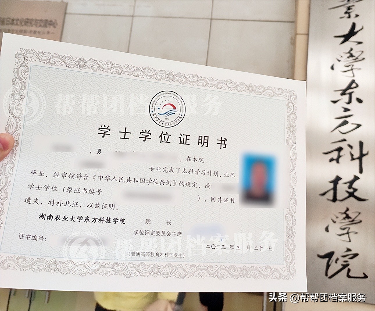 入职前毕业证学位证丢了怎么办,毕业证学位证丢了怎么补回来